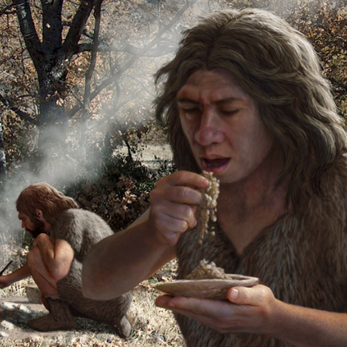 So Why Didn't Our Ancestors Have These Problems?