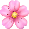 Feature icon