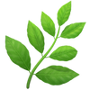 Feature icon