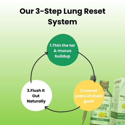 Healthvia™ 100% Natural Mullein Drops