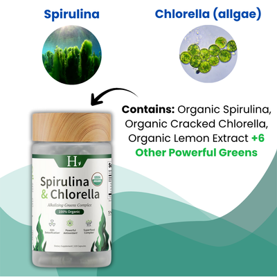 Gut Health + Spirulina Chlorella | Gut Reset Protocol