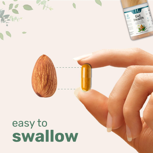 Gut Health + Spirulina Chlorella | Gut Reset Protocol