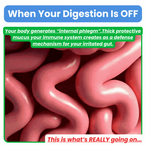 Gut Health + Spirulina & Chlorella